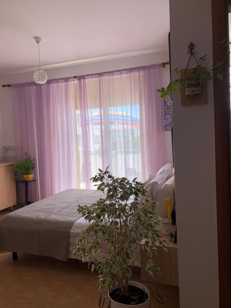 Studio Of Shpresa Vlore Ngoại thất bức ảnh